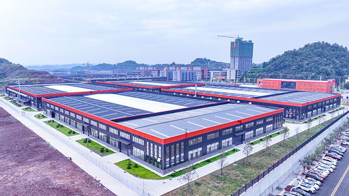 競逐運動賽道 安岳以鞋興業，跑出產業鏈發展新路徑